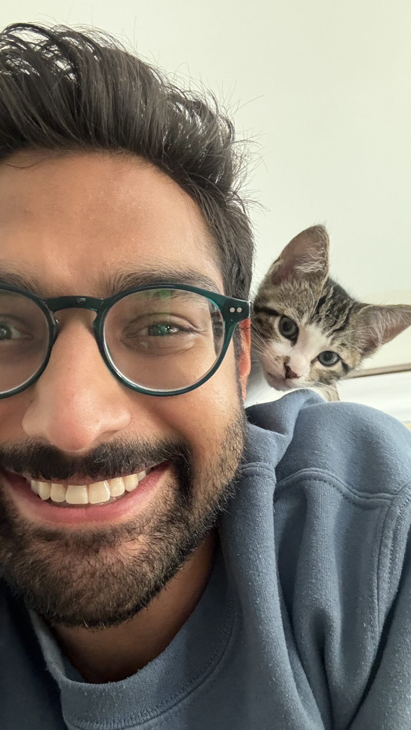 My kitten is extremely cute. Pics upon request