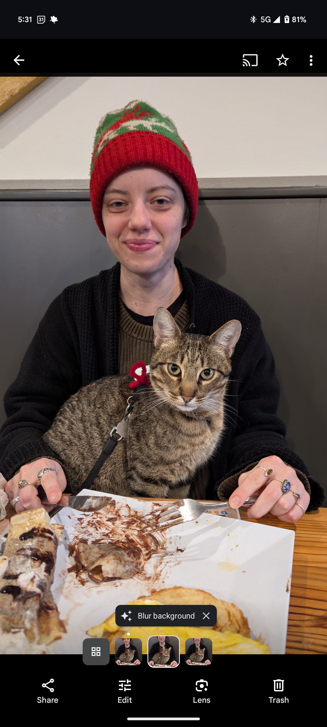 Poly VanLifer Seeking Cat Enthusiast